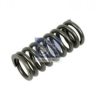 SCANI 1519702 Valve Spring